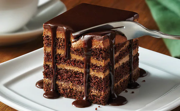 Delicious vegetarian chocolate lasagna dessert layered with cream and chocolate